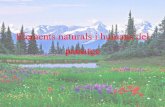 Elements naturals i humans del paissatge