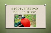 Biodiversidad del ecuador Dècimo B