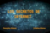 Los secretos de internet