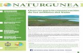 Boletín medioambiental nº37 de Naturgunea – Abril-Junio 2017 cast