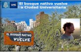 El Bosque Nativo vuelve a Ciudad Universitaria