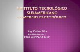 Instituto TecnolóGico Sudamericano