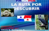 Panamá y sus elementos