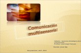 Comunicacion multisensorial