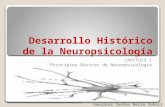 Desarrollo Historico de la Neuropsicología