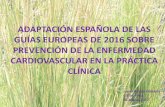 Adaptación  española guia europea  prevención cv
