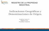 La experiencia costarricense en los procesos de solicitud de indicaciones geográficas (IG) y denominaciones de origen (DO), Jonathan Lizano, Registro Nacional, Costa Rica. (spanish)
