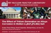 Tritium2016 Presentation v.1-G. Zheng