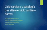 Ciclo cardiaco y patología que altere el ciclo cardiaco