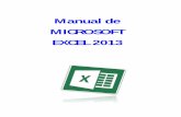 Manual exce l2013