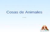 Diapositivas Cosas De Animales