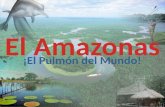 Exposicion amazonas