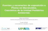 Fuentes y escenarios de exposición a Plomo en Montevideo. Casuística de  la Unidad Pediátrica Ambiental