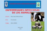 Enfermedades infecciosas de los animales