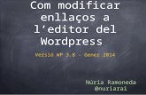 Modificar enllaços interns des de l'editor de Wordpress (WP 3.8)
