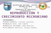 Reproducción y-crecimiento-microbiano