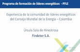Comunidad lideres energeticos WEC COLOMBIA