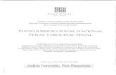 Pj cipj   pleno jurisdiccional nacional penal y procesal penal - cajamarca junio 2016
