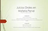 Sistema de Justicia acusatorio adversarial en México.