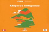"Mujeres indígenas y sus derechos humanos en las Américas" Informe CIDH