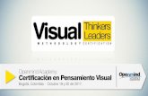 Certificación Visual Thinker Visual Leader - Bogotá 2017