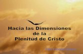 Hacia las dimensiones de la Plenitud de Cristo