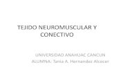 3. tejido neuromuscular y conectivo