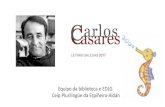 Letras galegas 2017