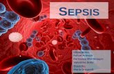 Sepsis - fisiopatología