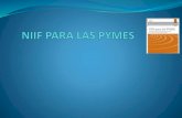 Presentación1 niif pymes