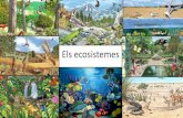 Els Ecosistemes (1ESO)