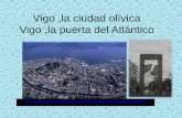 Vigo ,la ciudad olívica