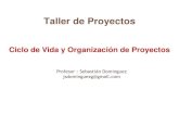 Gestión de proyectos    ciclo de vida y organización del proyecto