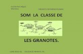 Projecte Les Granotes. P5