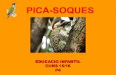 Projecte: Pica soques P4