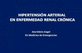 Hipertension arterial y enfermedad renal cronica