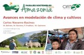 Navarro C 201702 Modelacion clima cultivos (SAL)