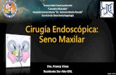 Cirugia Endoscópica de Seno Maxilar