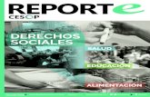 Reporte Cesop. Derechos Sociales