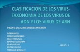 Clasificación de los virus (virología)