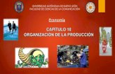 Economía - Organización de la producción