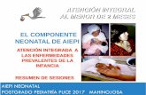Aiepi neonatal presentacion resumen 2017