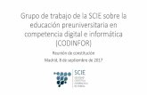 Grupo de trabajo de la SCIE sobre la educación preuniversitaria en competencia digital e informática (CODINFOR)