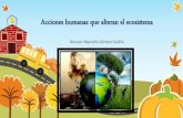 Acciones humanas que alteran el ecosistema - Vanessa Alejandra Gérman Guillén