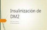 Insulinización de DM2