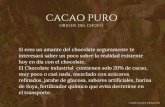 Portafolio Chocolate Cacao Puro
