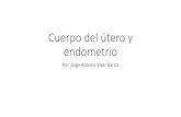 Anatomía patológica del cuerpo del útero; endometrio y miometrio