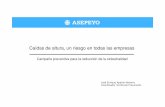 Aparisi Navarro, Enrique: Caídas de altura, un riesgo en todas las empresas