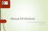Manual mindmeister