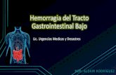 Hemorragia del tracto gastrointestinal bajo